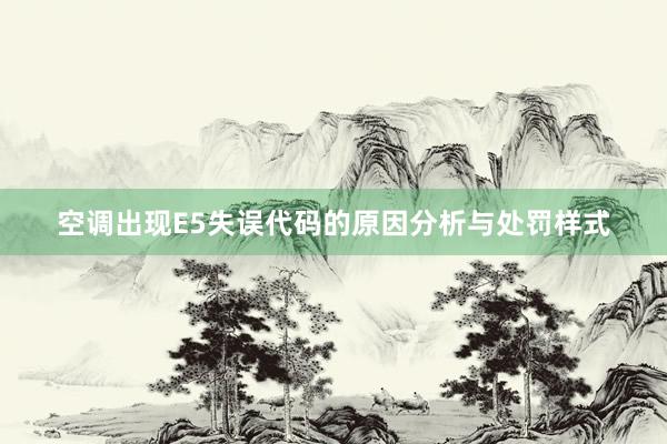 空调出现E5失误代码的原因分析与处罚样式